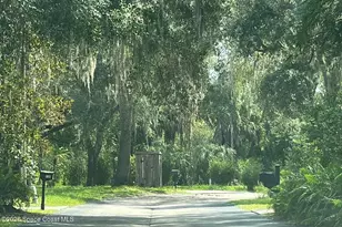 9117 Wood Terrace Dr, Tampa, FL 33637 - Photo 5