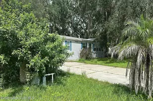 9117 Wood Terrace Dr, Tampa, FL 33637 - Photo 3