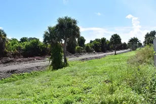 987 Burn Dr NE, Palm Bay, FL 32905 - Photo 45