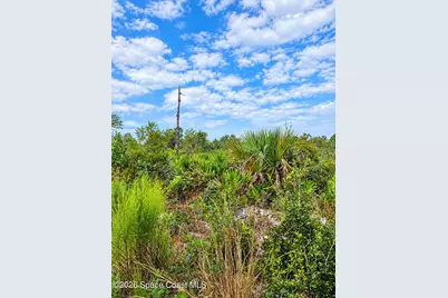0000 Highway 1, Mims, FL 32754 - Photo 5