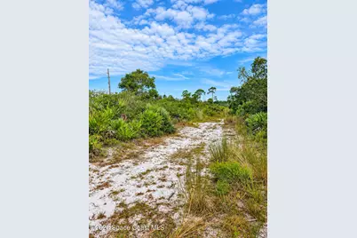 0000 Highway 1, Mims, FL 32754 - Photo 3