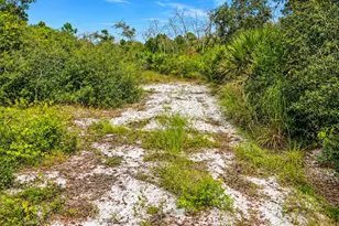 0000 Hwy 1, Mims, FL 32754 - Photo 1