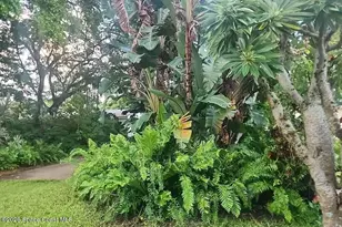 4048 SW 7th St, Plantation, FL 33317 - Photo 3