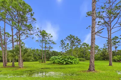 13850 77th Street, Fellsmere, FL 32948 - Photo 59