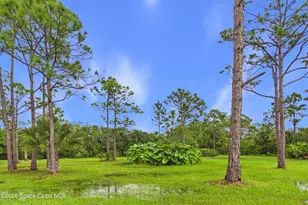 13850 77th St, Fellsmere, FL 32948 - Photo 59