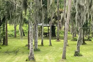 2250 Floridiane Dr, Melbourne, FL 32935 - Photo 5