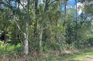 3685 Pine St, Cocoa, FL 32926 - Photo 7