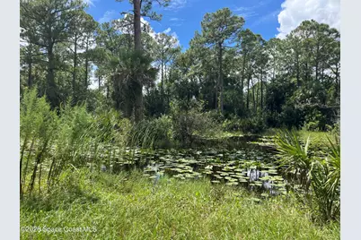 3685 Pine Street, Cocoa, FL 32926 - Photo 11