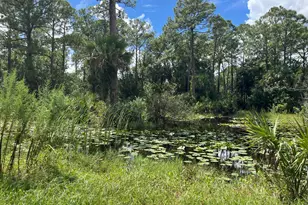 3685 Pine St, Cocoa, FL 32926 - Photo 11