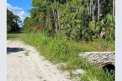 2000 Vally Road, Grant-Valkaria, FL 32950 - Photo 5
