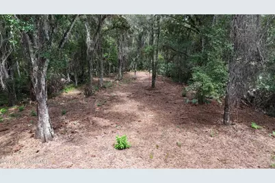 0000 Quarterly Parkway, Orlando, FL 32833 - Photo 3