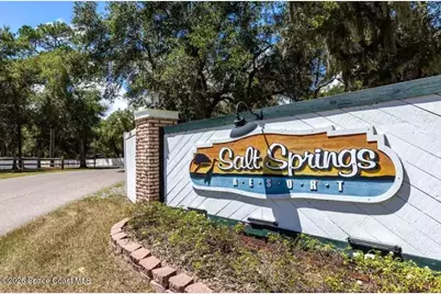 14128 NE 253rd Avenue Road #404, Salt Springs, FL 32134 - Photo 11