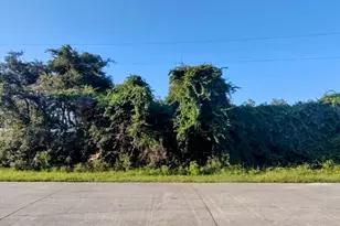 5325 Bluebill Rd, Mims, FL 32754 - Photo 1