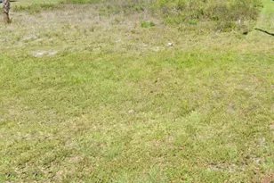 2171 Fallon Blvd NE, Palm Bay, FL 32907 - Photo 1