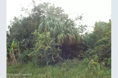 1516 Erie Court SE, Palm Bay, FL 32909 - Photo 1