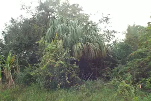 1516 Erie Ct SE, Palm Bay, FL 32909 - Photo 1