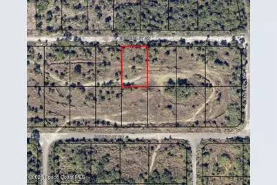 1020 Echinata Street SW, Palm Bay, FL 32908 - Photo 1