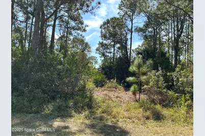 118 Hart Street SW, Palm Bay, FL 32908 - Photo 1