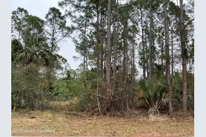 137 Santa Rosa Avenue SW, Palm Bay, FL 32908 - Photo 1