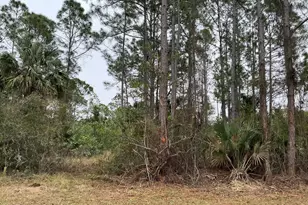 137 Santa Rosa Ave SW, Palm Bay, FL 32908 - Photo 1