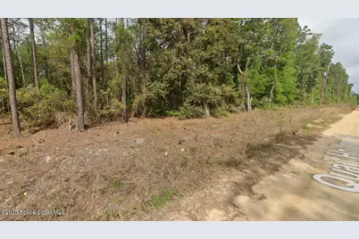 0000 Quail Hollow Road, Satsuma, FL 32189 - Photo 1