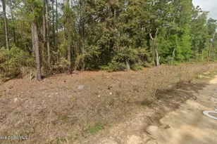 0000 Quail Hollow Rd, Satsuma, FL 32189 - Photo 1