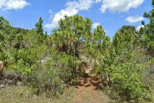 2889 Basil Ave, Palm Bay, FL 32908 - Photo 1