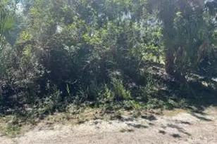 2680 Valentine Ave, Palm Bay, FL 32908 - Photo 1