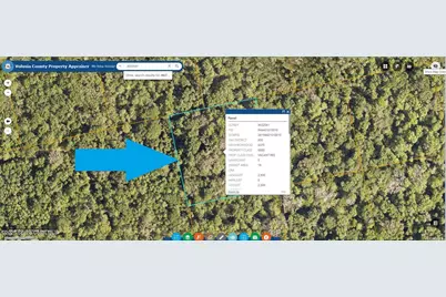 0000 No Street Access, Oak Hill, FL 32759 - Photo 1