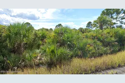 982 Astilbe Street SW, Palm Bay, FL 32908 - Photo 1