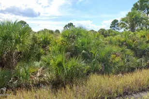 982 Astilbe St SW, Palm Bay, FL 32908 - Photo 1