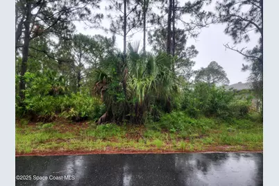 2743 Freehold Avenue SE, Palm Bay, FL 32909 - Photo 1