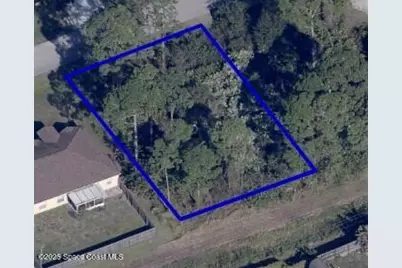 1166 Raywood Street SE, Palm Bay, FL 32909 - Photo 1