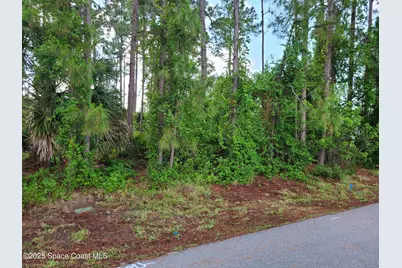 875 Cochran Road SE, Palm Bay, FL 32909 - Photo 1