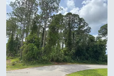 120 Angelo Road SE, Palm Bay, FL 32909 - Photo 1