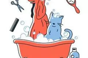 Xxxx Confidential, Melbourne, FL 32940 - Photo 1