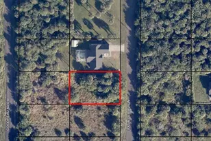 1920 Basinger Ave SW, Palm Bay, FL 32908 - Photo 1