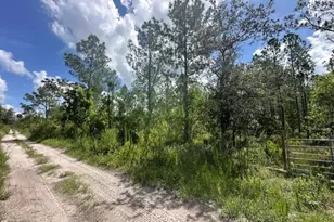 00000 Unknown, Mims, FL 32754 - Photo 1