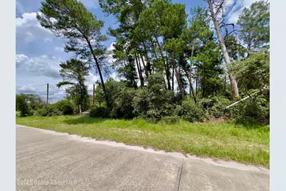 4181 Cinnamon Teal Drive, Mims, FL 32754 - Photo 1