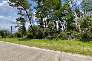 4181 Cinnamon Teal Dr, Mims, FL 32754 - Photo 1