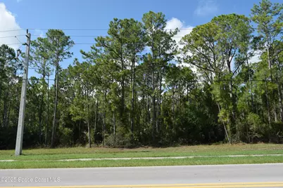 206 Emerson Drive NW, Palm Bay, FL 32907 - Photo 1