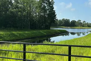 0000 Dolphin Dr, Orlando, FL 32822 - Photo 1