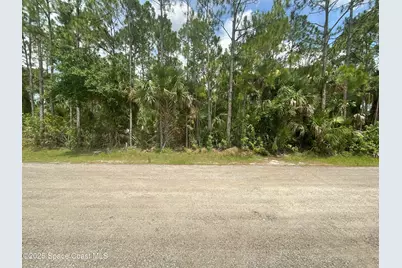 743 Griffin Avenue SW, Palm Bay, FL 32908 - Photo 1