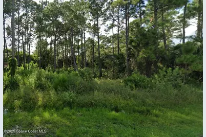 724 Daniels Avenue SW, Palm Bay, FL 32908 - Photo 1