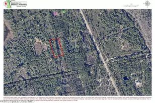 0 Unknown, Mims, FL 32754 - Photo 1