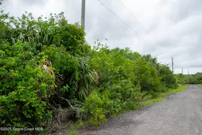 866 SW Wiseman Street SW, Palm Bay, FL 32908 - Photo 1