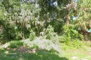 6173 Dees Rd, Cocoa, FL 32927 - Photo 1