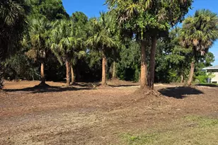 2723 Jupiter Blvd SW, Palm Bay, FL 32908 - Photo 1