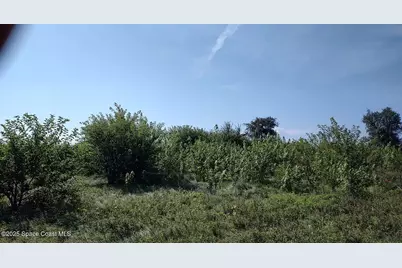 790 SW Burgess Street SW, Palm Bay, FL 32908 - Photo 1