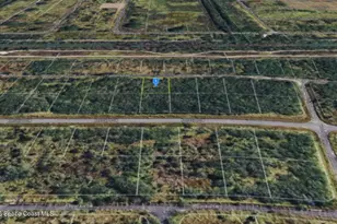 2374 Landrum Ave SW, Palm Bay, FL 32908 - Photo 1